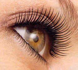 Sparkle_eye_2 Sparkle eye