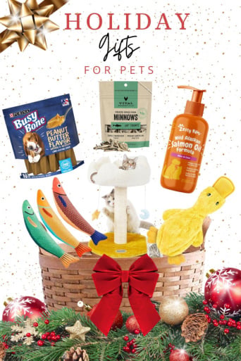 Gifts for Your Pet