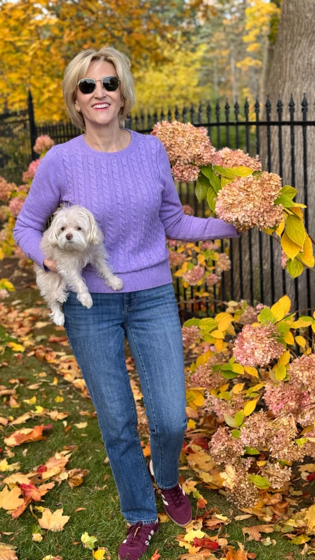 🩷Like this post and comment SHOP below to receive a DM with the link to shop this post on my LTK ⬇
https://liketk.it/5FC7L

Casual, cozy, and just a little fun 💜
This lavender cable knit sweater from @talbotsofficial feels like a hug, paired with classic denim and retro sneakers for that effortless weekend vibe. Perfect for days when comfort meets a touch of personality ✨🤗

#talbots #talbotsofficial #cableknit #sweaterweather❄️ #winterlooks