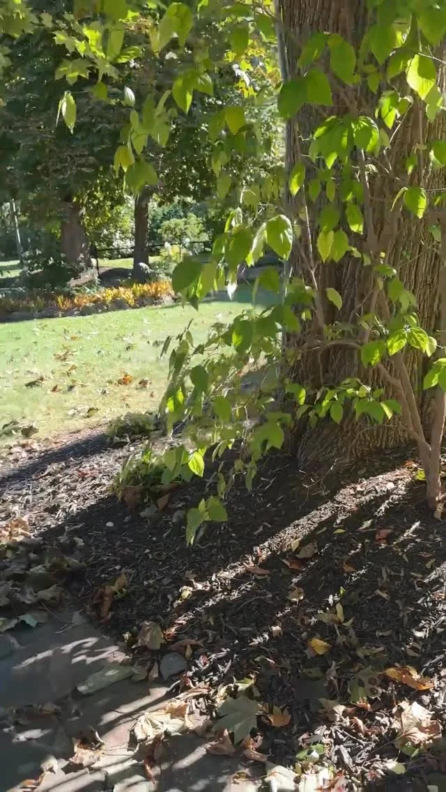 🩷Like this post and comment SHOP below to receive a DM with the link to shop this post on my LTK ⬇
https://liketk.it/5R4y5

Some days call for outfits that feel as good as they look. This funnel-neck knit from @nicandzoe is one of those throw-on-and-go pieces, and paired with my trusty @spanx pants and ballet flats, it’s comfy, polished, and ready for whatever the day brings. Easy style is always a win in my books. 🤗😘🥰

#niczoe #spanxpartner #over50style #over50andfabulous #over50women